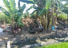 Babinsa Kedung Cowek Dampingi Poktan Benteng Samudra Bahas Pembibitan dan Pola Tanam Padi