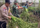 Babinsa Koramil Rungkut Bersama Warga Gelar Karya Bakti Bersihkan Makam Rungkut Tengah