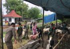Babinsa Romokalisari Dampingi Pemeriksaan Hewan Kurban, Pastikan Kondisi Ternak Sehat dan Aman