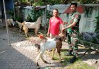 Sentuhan Kepedulian Babinsa Genteng, Seekor Kambing Kurban untuk Warga Masjid Baitul Iksan